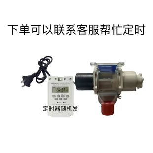 德国进口鸽子鸡鸭全自动喂食器宠物定时智能自动下料投喂神器养殖