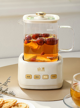 养生杯壶家用多功能耐高温玻璃煮茶器烧水壶办公室小型迷你花茶壶