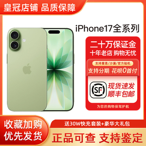 Apple/苹果 iPhone 17 苹果17 国行新款iPhone17苹果十七双卡手机