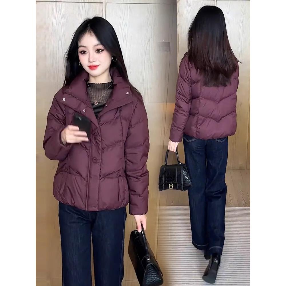 短款羽绒棉服女士2024年冬季新款立领面包服棉袄时尚保暖棉衣外套