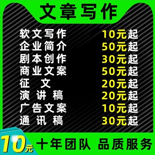 代写文章撰写述职报告工作总结汇报方案剧本文案策划代笔写作服务