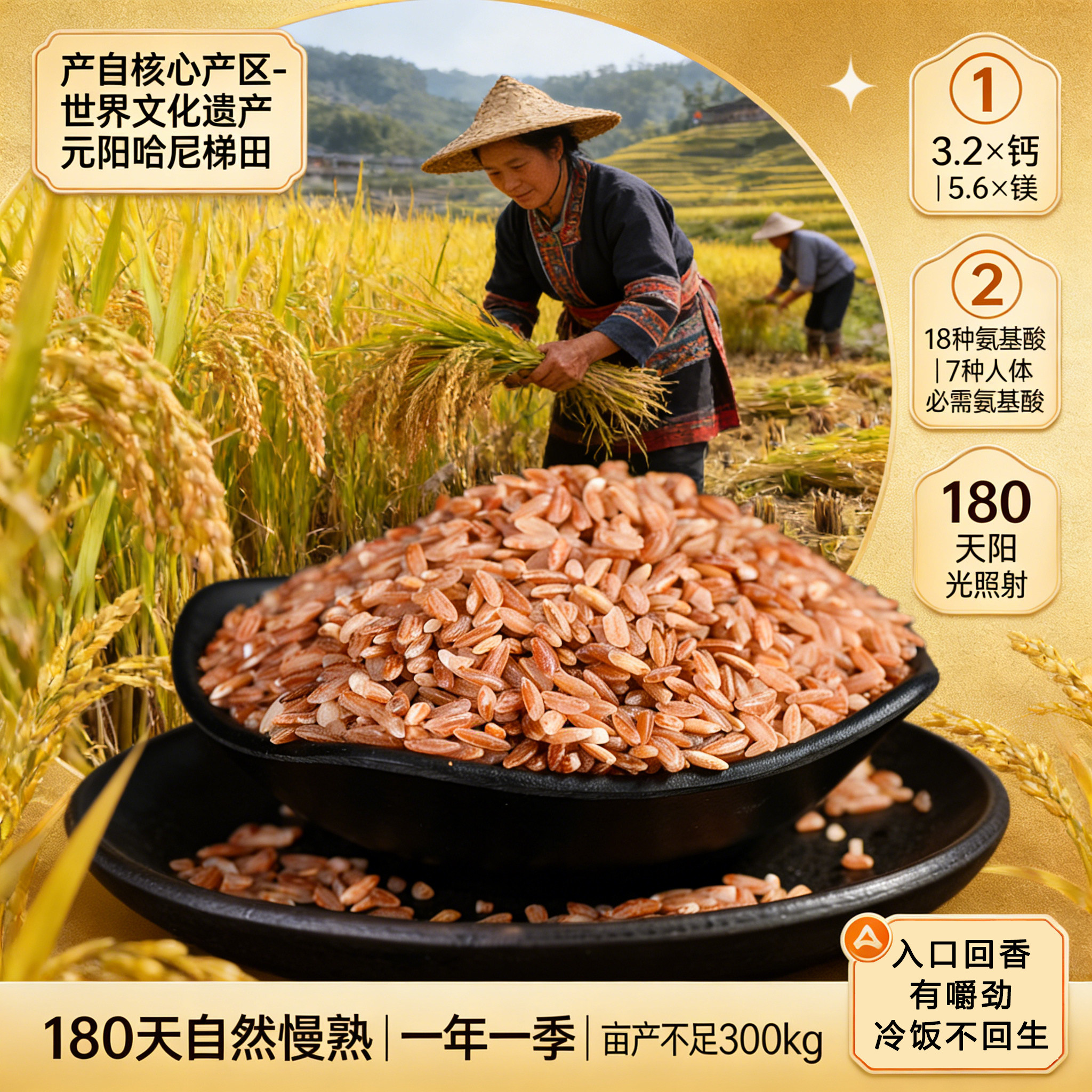 健身糙米云南红河元阳梯田红米粗粮代餐主食五谷杂粮紫米新米