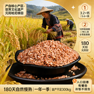 健身糙米云南红河元阳梯田红米粗粮代餐主食五谷杂粮紫米新米