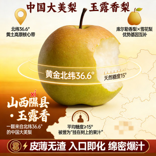 隰县玉露香梨中国大美梨山西特产年货礼盒装皮薄多汁纯甜化渣