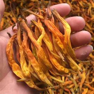 台湾品种新鲜黄花菜干货福建三明建宁农家晒干金针花菜干特级无硫