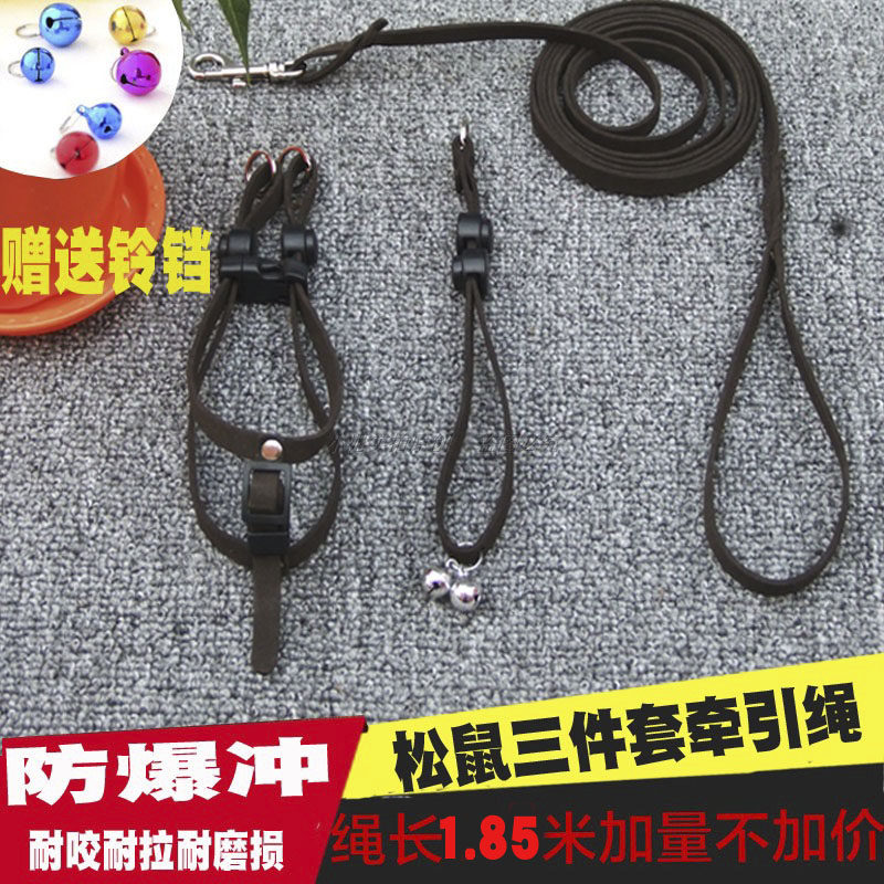 松鼠牵引绳背带项圈兔子小宠花枝蜜袋鼯三件套猪荷兰猪龙猫用品绳
