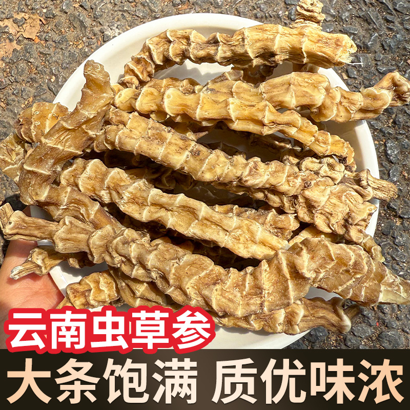 云南顶天柱野生虫草参中药材干货地参虫参新鲜煲汤泡茶泡酒料正品