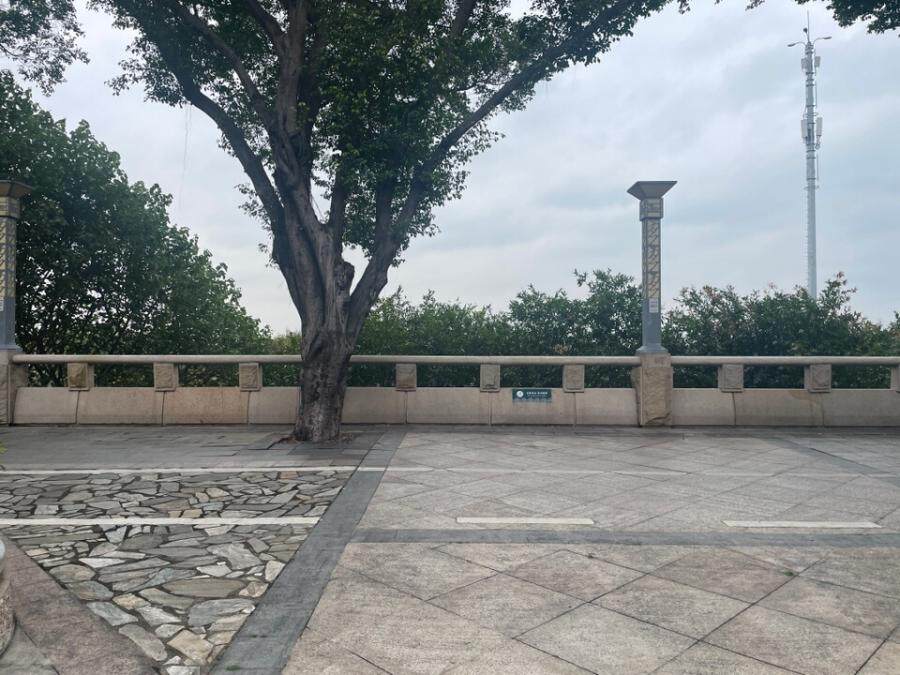 4月19日佛山市土地使用权及地上建筑物网络拍卖公告