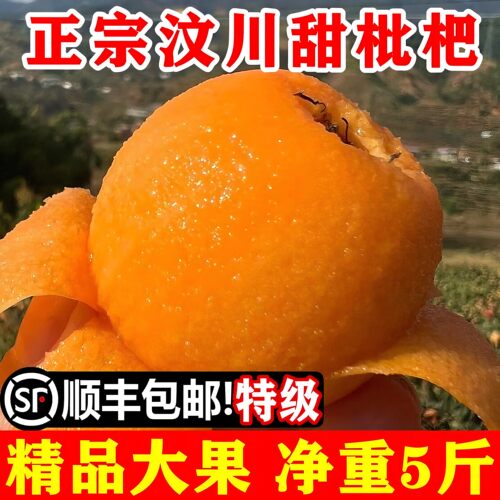 顺丰包邮礼盒装新鲜汶川五星枇杷
