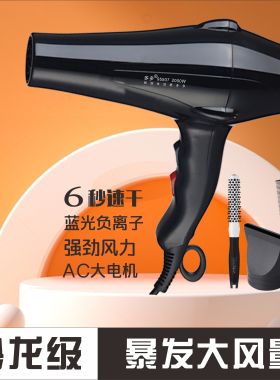 吹风机家用大风力发廊宿舍专用