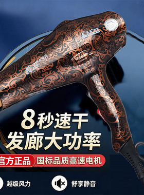吹风机家用大功率发廊专用风筒