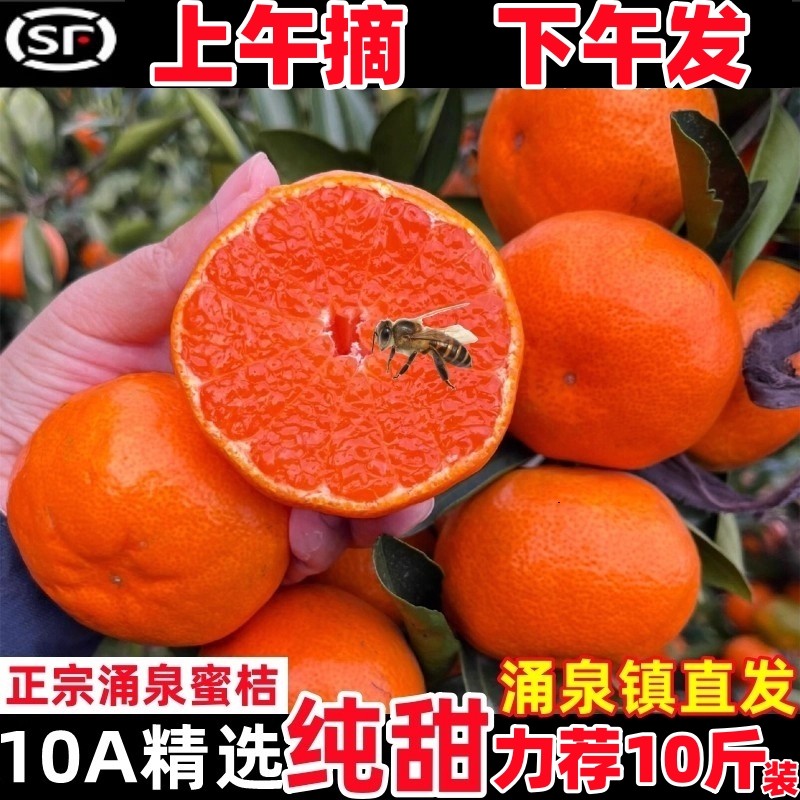 正宗浙江临海涌泉蜜桔橘子新鲜10斤当季水果整箱黄岩蜜橘甜旗舰店,水产肉类/新鲜蔬果/熟食,桔子,淘宝优惠券,粉丝福利购,淘宝优惠卷