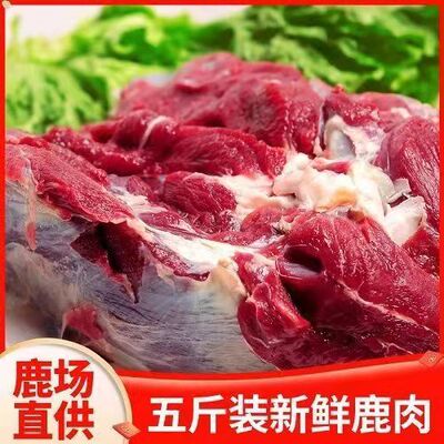 东北梅花鹿肉新鲜鹿腿肉现杀整只鹿腿新鲜鹿肉排腩生鲜肉顺丰包邮