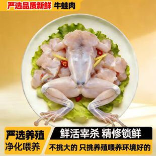 【严选外塘环境】品质牛蛙新鲜牛蛙肉腿块商用田蛙田鸡肉火锅食材