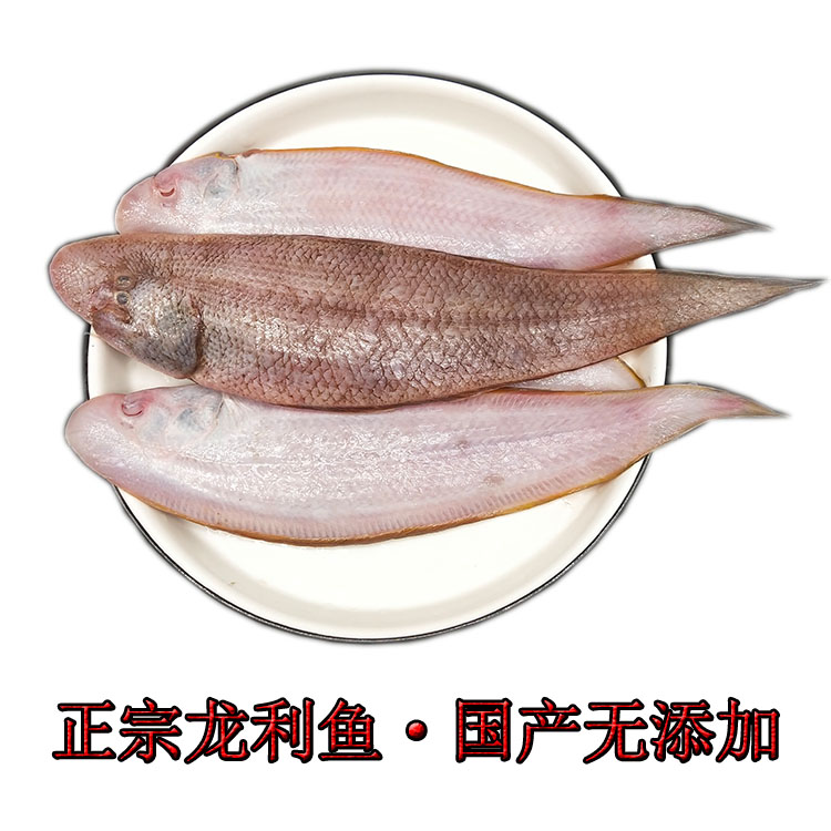 野生龙利鱼一斤3到4条新鲜海鲜舌头鱼舌鳎鱼鳎米鱼鳎目500克国产