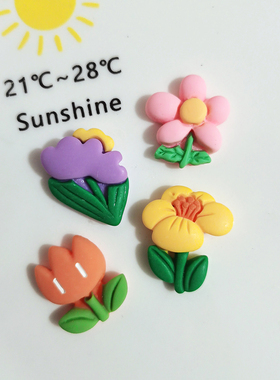 花朵树脂洞洞鞋手机壳