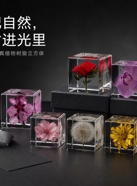 树脂永生花蒲公英桌面摆件送礼