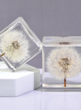 真实植物标本蒲公英玫瑰立方摆件水晶球昆虫标本蝎子蜘蛛情侣礼物