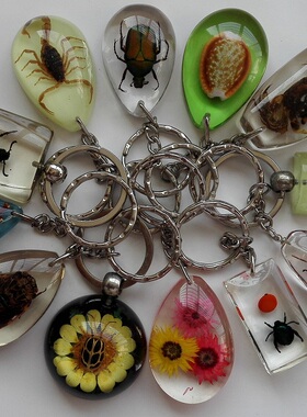 车钥匙挂件 昆虫标本 蝎子 螺 花 人工琥珀 创意礼品 礼物