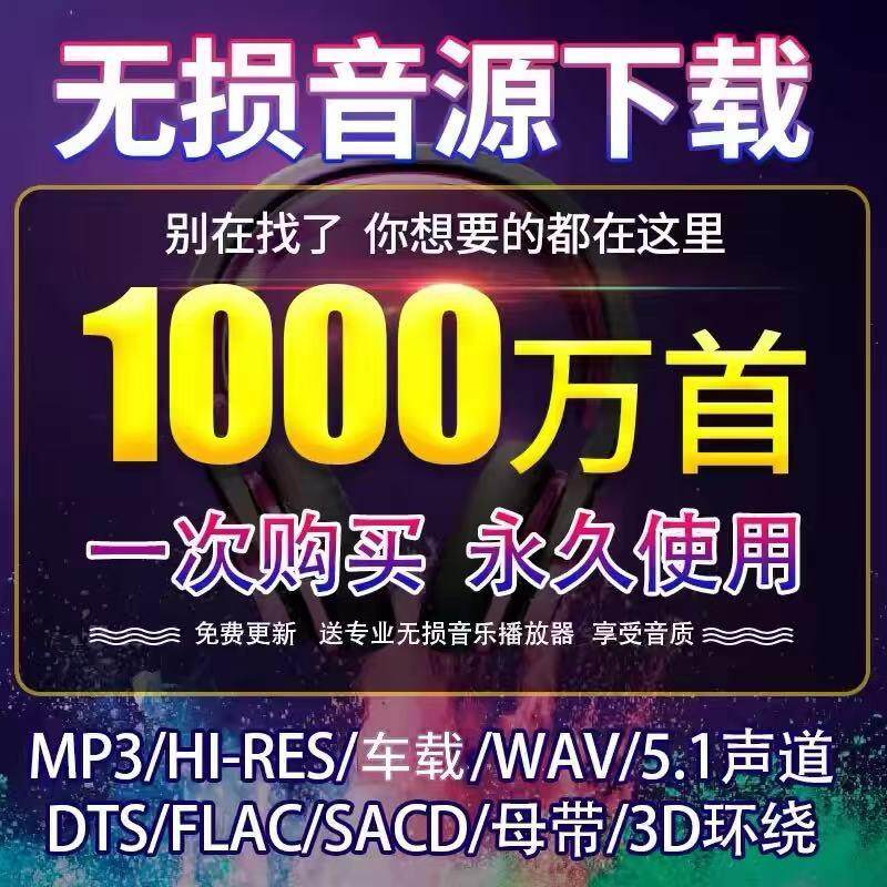 DSD2025车载无损音乐/MP3/MP4/HIFI/wav/flac/dts/5.1声道mv视频