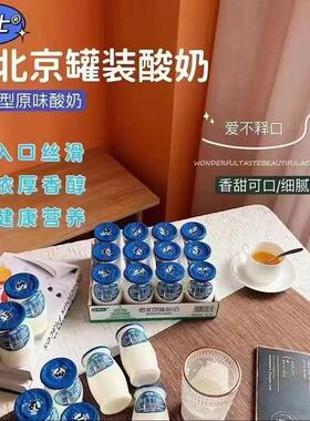 骑士老北京风味酸奶浓稠型170g*12罐装 短保凝固型搅拌罐装酸牛奶