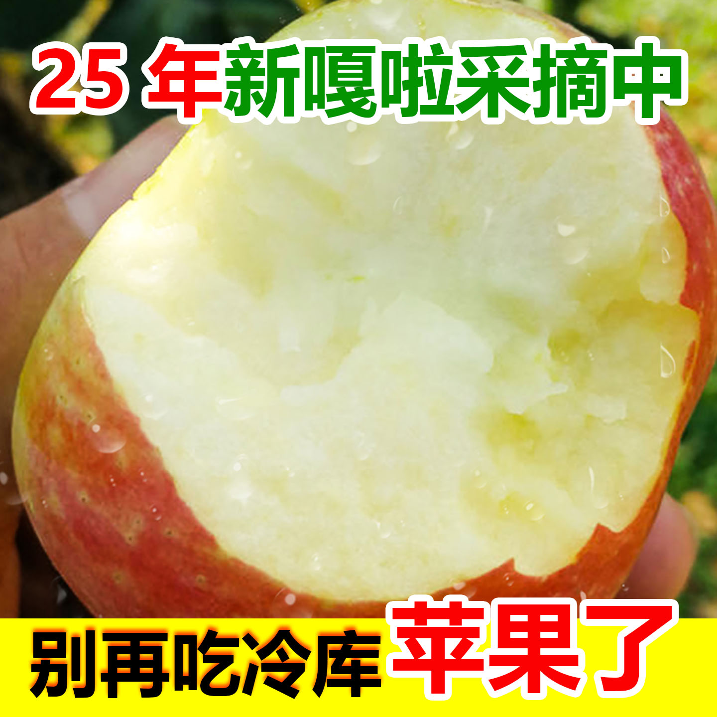 2025年新鲜嘎啦红富士苹果10斤装