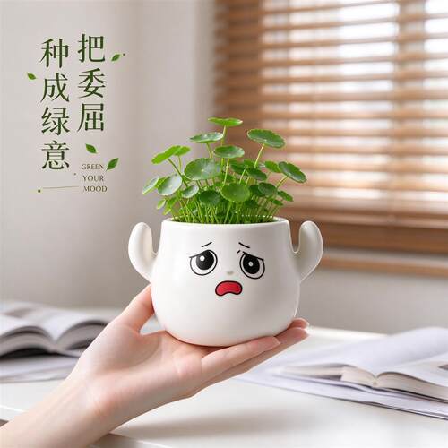 铜钱草桌面盆栽可爱笑脸装饰