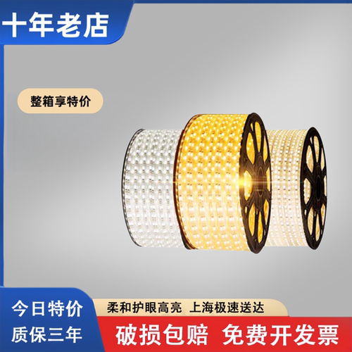 LED高压灯带220V防水室内/外线条