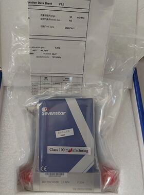 七星流量计CS310 ，气体H2，量程50 mL，正