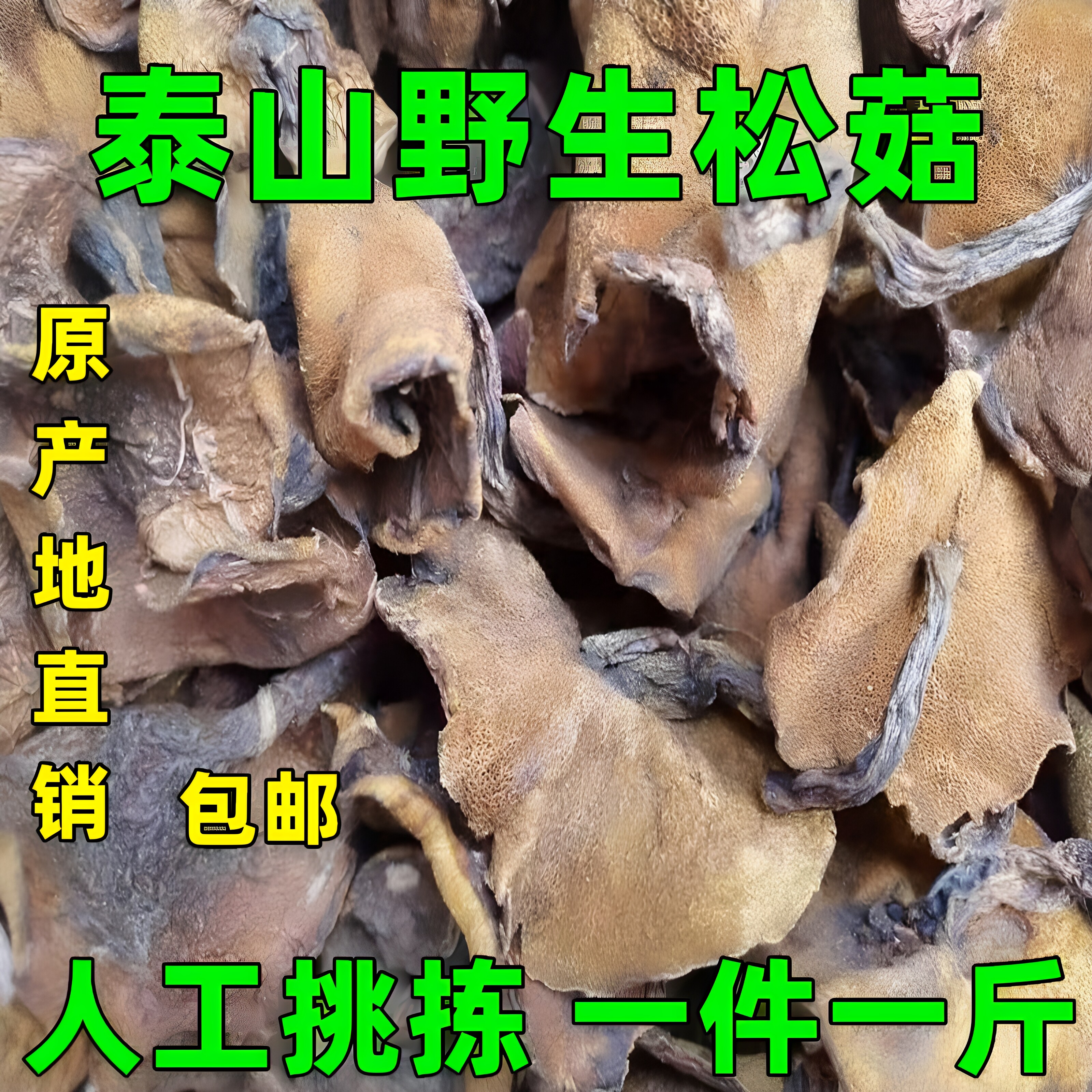 山东特产野生泰山松蘑菇干货粘莪子粘团子松菇炖鸡蘑菇龙廷山莪子