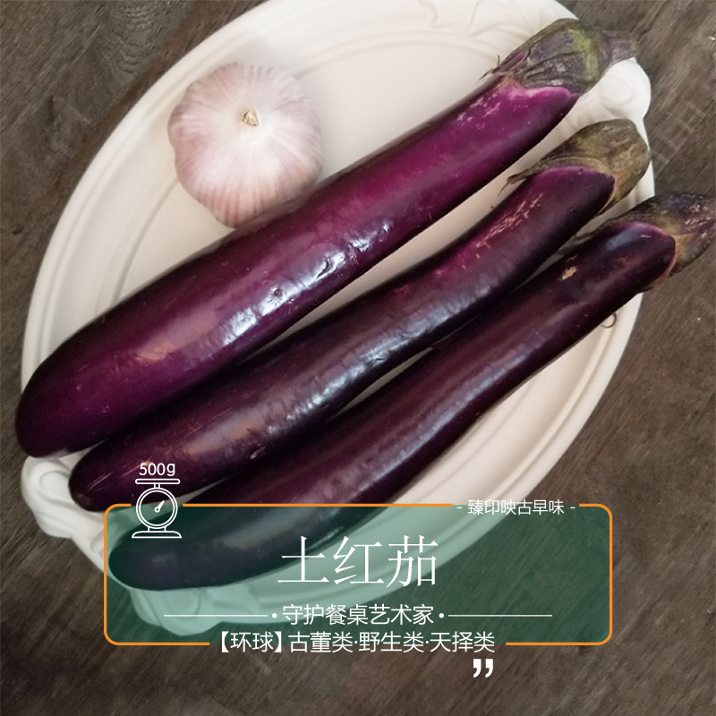 臻印映土红茄子胜似野生穿越有机天生天养易烹调快手美味维生素BP