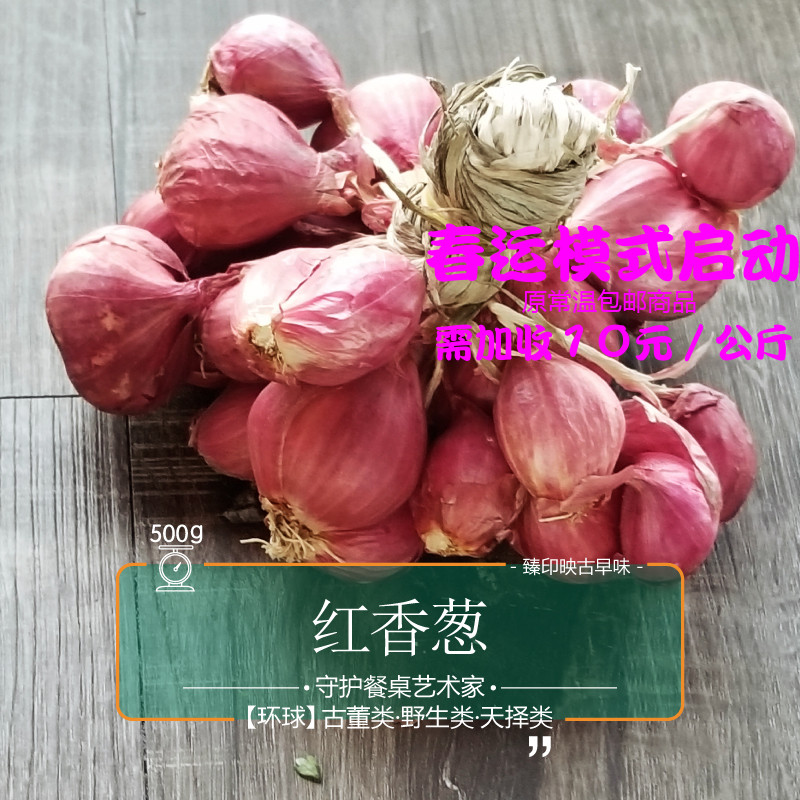 臻印映 红香葱红葱头胜似野生超越有机葱酥油卤味卤肉饭粉面秘招