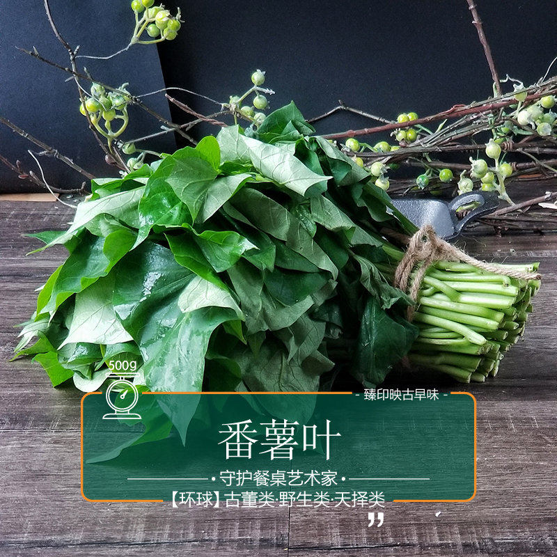 调理型番薯苗天生天养