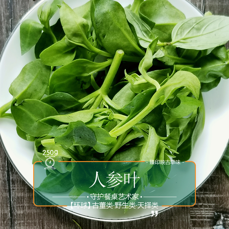 臻印映〡新鮮人參葉勝似野生超越有機甜嫩美味養生大熱菜外面常缺
