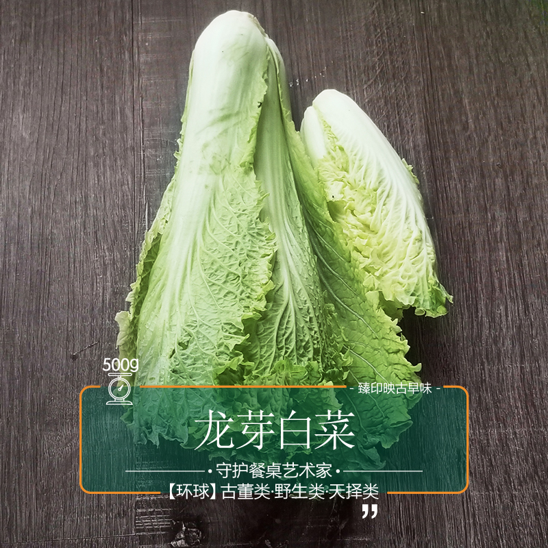 臻印映 新鮮龍芽白菜勝似野生超越有機天生天養 甜嫩可口無渣易軟