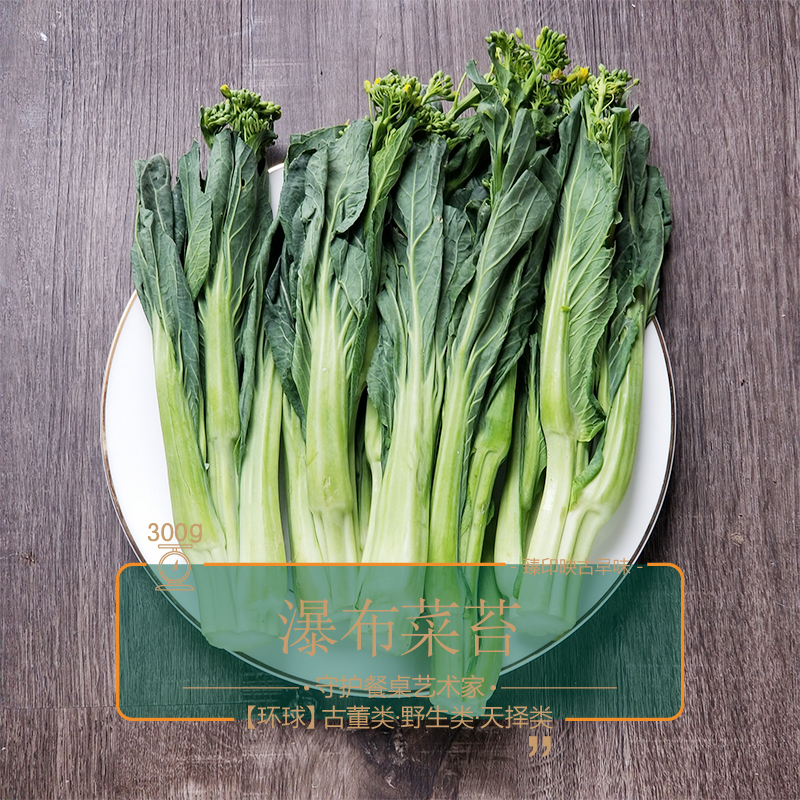 臻印映〡新鮮瀑布菜苔勝似野生超越有機天生天養清甜美味全家喜愛
