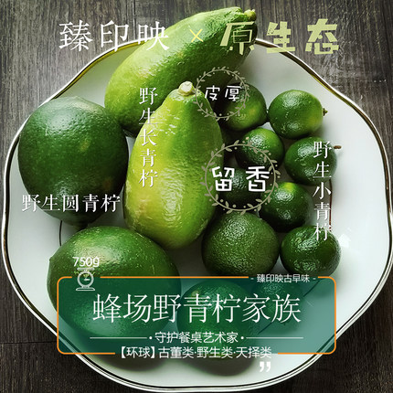 臻印映蜂场青柠檬家族原野悠闲成长润喉食疗营养维C碱性食品纯味
