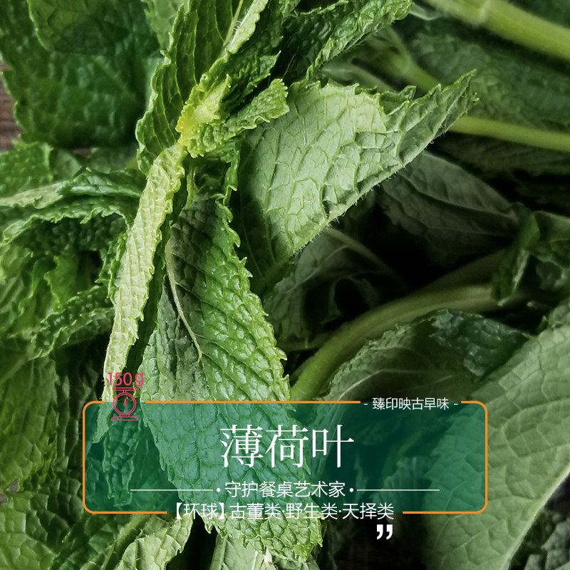 臻印映〡新鮮野薄荷勝似野生超越有機食用擺盤烘焙調酒香料效果佳