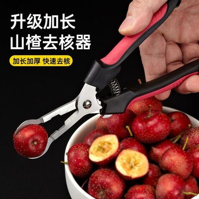 不锈钢山楂去核器糖葫芦制作工具钳子多功能扣籽刀去核钳取心神器