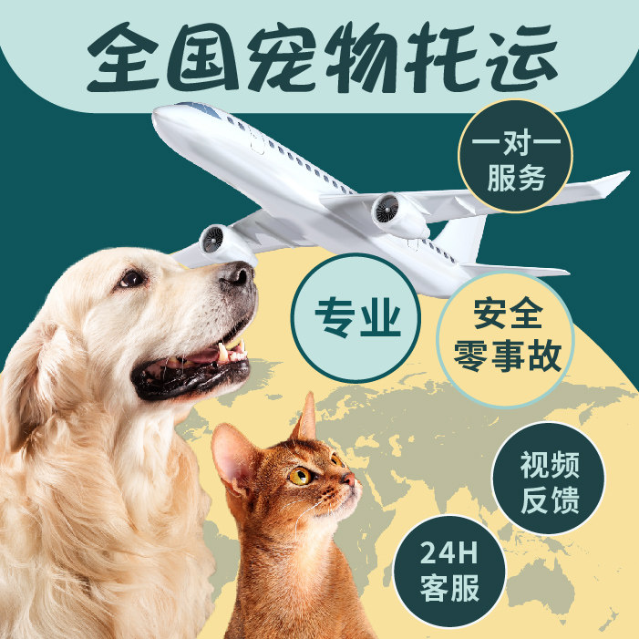 全国宠物托运 随机手续疫苗本办理