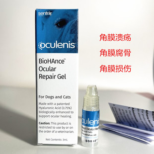 美国Sentrx透明质酸凝胶猫咪角膜腐骨溃疡狗角膜损伤结膜炎滴眼液