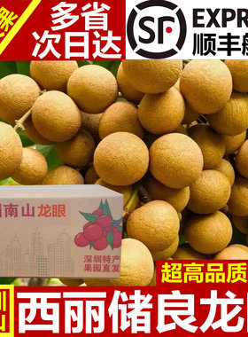 深圳南山精选储良特大龙眼
