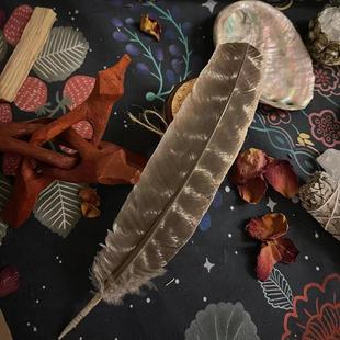 精选黑火鸡羽毛风元素 鼠尾草烟熏净化引导控制烟雾方向 羽翎