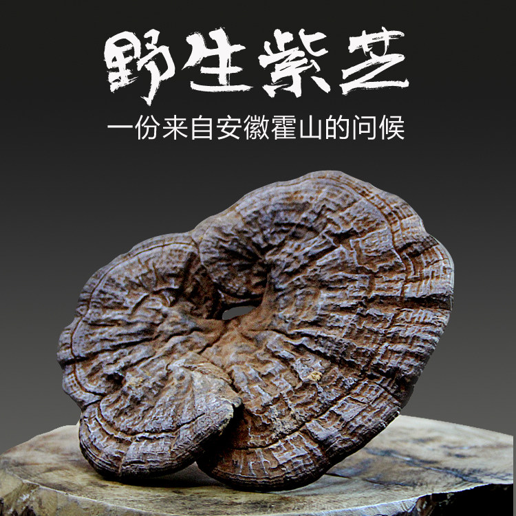 野生紫灵芝安徽霍山灵芝紫芝整枝深山林芝切片250克正品