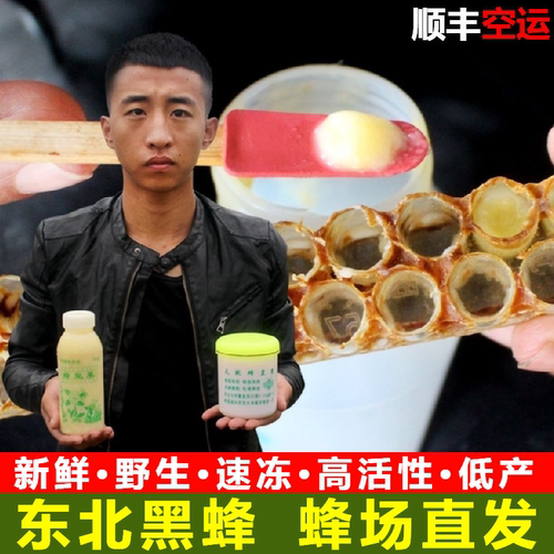 东北黑蜂蜂王浆野生农家自产纯正天然正品新鲜低产活性蜂皇浆500g - 封面