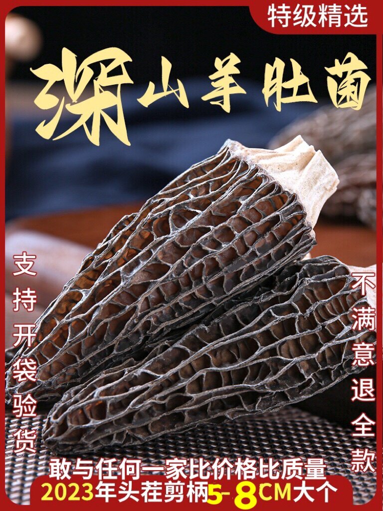 云南香格里拉羊肚菌2023年头茬羊肚菌大个头肉厚口感好熬汤鲜美
