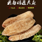 正宗云南昭通天麻特级非野生纯天然新鲜小草坝干货 包邮 可磨粉切片
