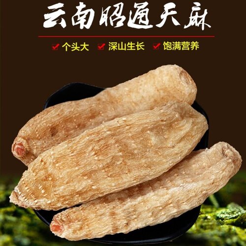 正宗云南昭通天麻特级野生
