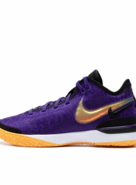 Nike Zoom LeBron NXXT Gen布朗尼一代下单请看详情页DR8788-500