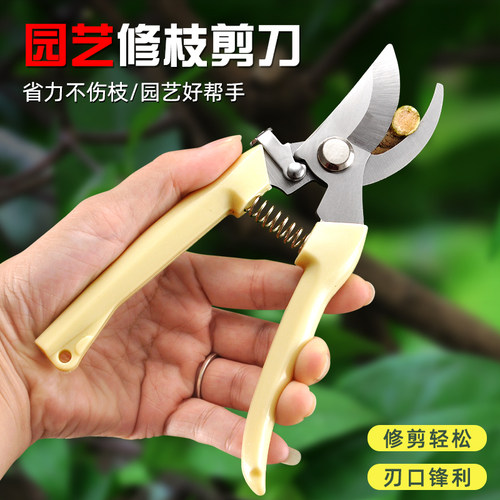 园林园艺修枝家用电工剪铁皮剪刀